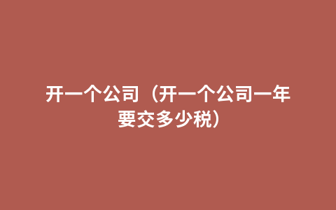 开一个公司（开一个公司一年要交多少税）