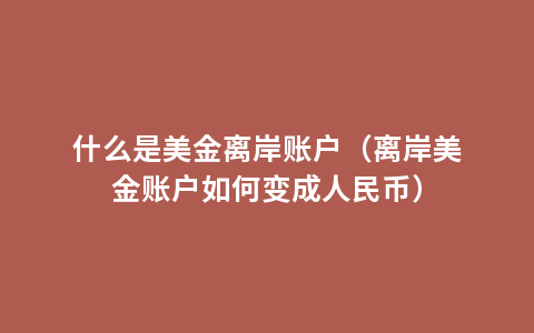 什么是美金离岸账户（离岸美金账户如何变成人民币）