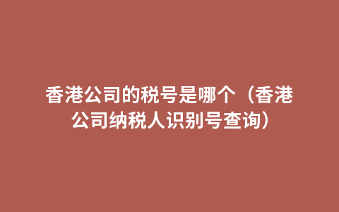 香港公司的税号是哪个（香港公司纳税人识别号查询）