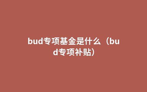 bud专项基金是什么（bud专项补贴）