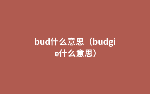 bud什么意思（budgie什么意思）
