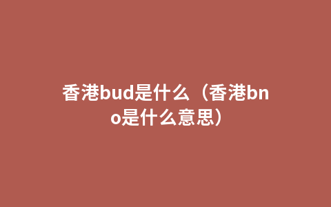 香港bud是什么（香港bno是什么意思）