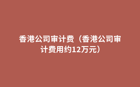 香港公司审计费（香港公司审计费用约12万元）