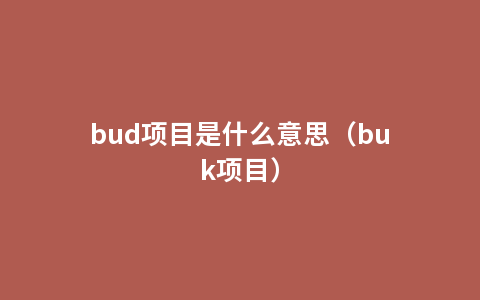 bud项目是什么意思（buk项目）