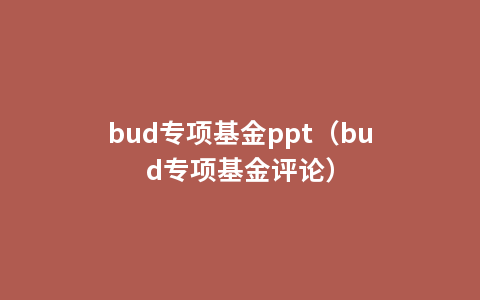 bud专项基金ppt（bud专项基金评论）
