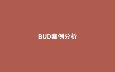 BUD案例分析