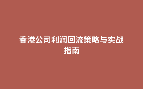 香港公司利润回流策略与实战指南