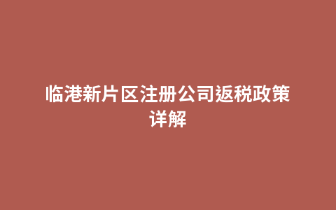 临港新片区注册公司返税政策详解